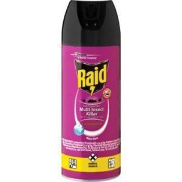 RAID DUAL PURPOSE INSECT KILLER  300ml