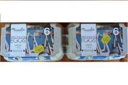 GOLDEN YOLK FLAMINKVLEI FREE RANGE LARGE  6`s