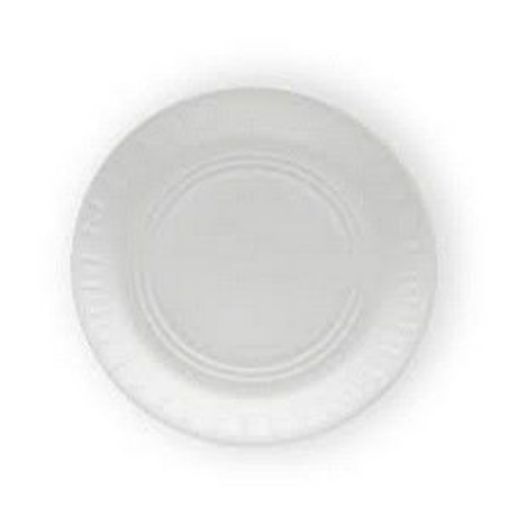 PICNIC PLATES WHITE  10 x each