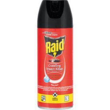RAID SUPER FAST CRAWLING INSECTS  300ml