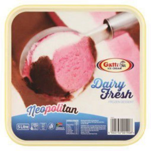GATTIS DAIRY FRESH NEOPOLITAN VAN\STRAW  5LT