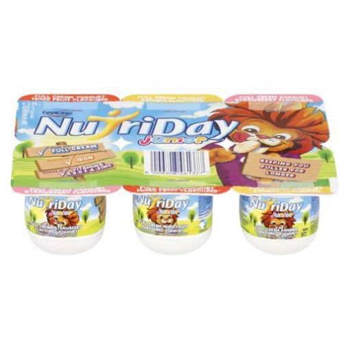 Picture of DANONE NUTRIDAY JUNIOR SMOOTH 75G