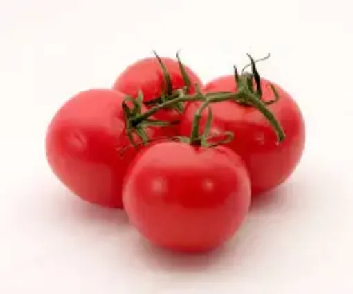 Picture of NUTRI PICK F/VEG TOMATOES kg